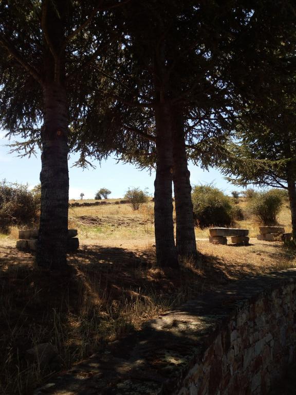 Gasthaus El Egio Cervera de Buitrago Exterior foto